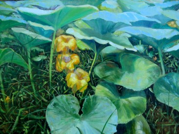 Bundevin cvet (ulje na platnu, 70x100cm)