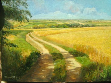 Žitna polja (ulje na platnu, 30x40cm)
