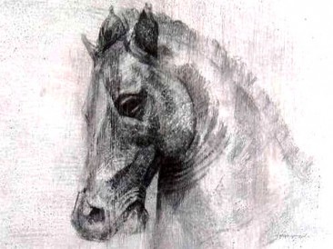 Glava konja (olovka na plastici, 40x30cm)